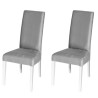 LOT DE DEUX CHAISES SADRIA TISSU GRIS