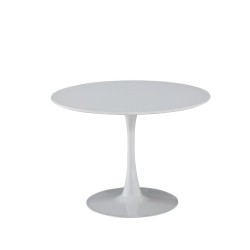 Kopie van Kopie van TABLE DE CUISINE S5000 AVEC SES CHAISES EN METAL ET PARTICULE