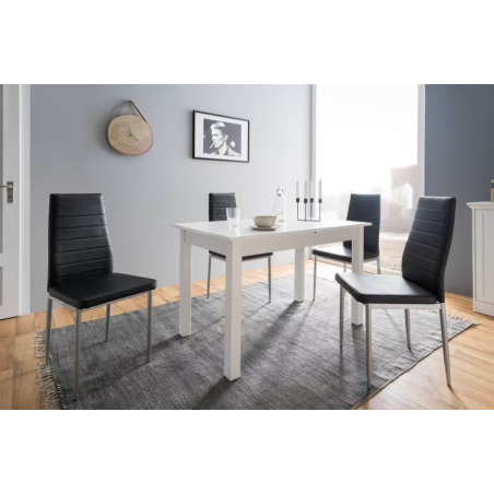 Kopie van Kopie van Kopie van Kopie van TABLE DE CUISINE S5000 AVEC SES CHAISES EN METAL ET PARTICULE